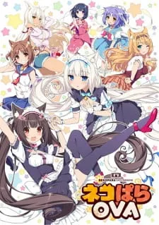 دانلود انیمه Nekopara OVA با ترجمه و کیفیت بالا از لینک مستقیم