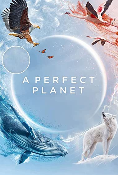 دانلود سریال A Perfect Planet